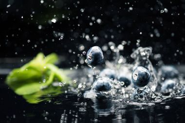 suda bırakarak olgun yaban mersini