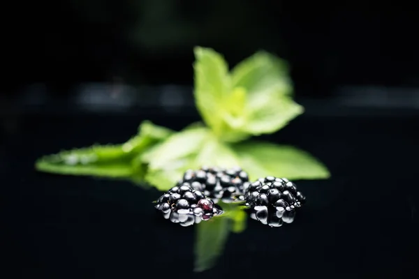 Fresh ripe blackberries in water — Stock Photo, Image