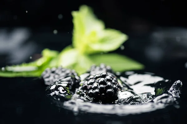 Ripe blackberries falling in water — Stock Photo, Image