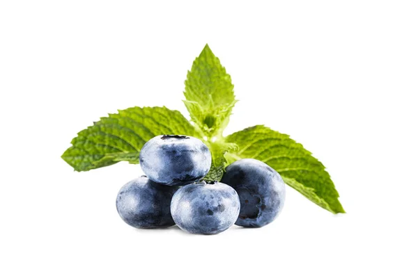 Haufen Blaubeeren mit Minzblättern — Stockfoto