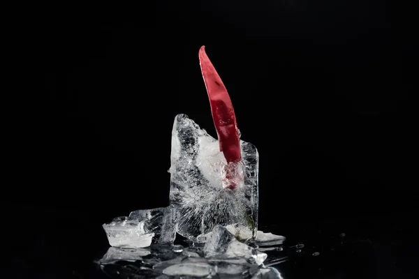 Chili pepper in melting ice — Stock Photo, Image