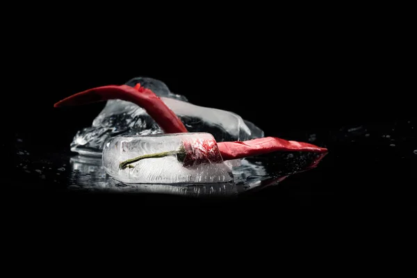 Chili peppers in melting ice — Stock Photo, Image