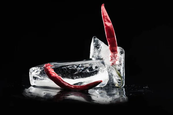 Chili peppers in melting ice — Stock Photo, Image