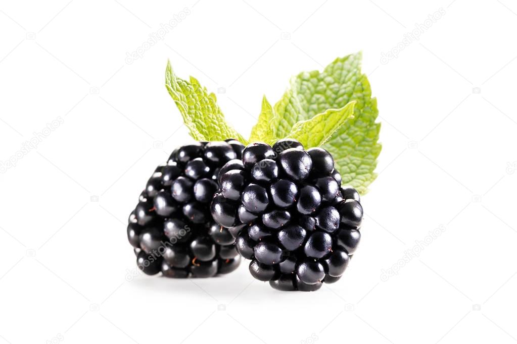 blackberries with mint leaves