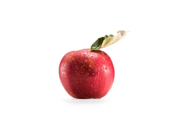Manzana madura con gotas de agua — Foto de Stock
