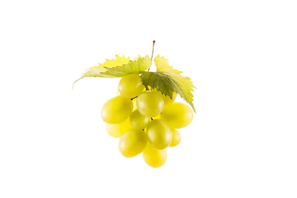 Racimo de uvas frescas —  Fotos de Stock