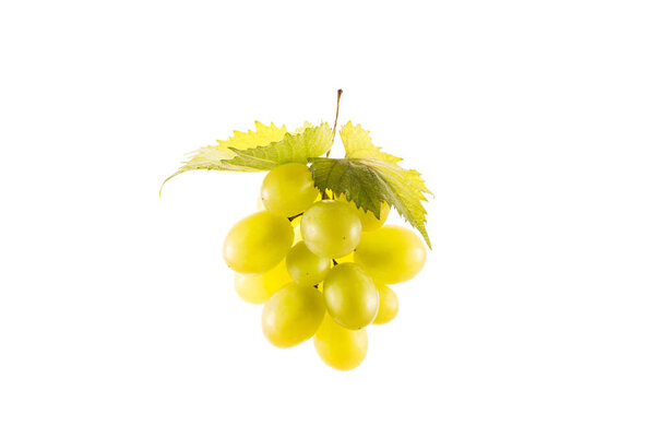 cluster of fresh grapes