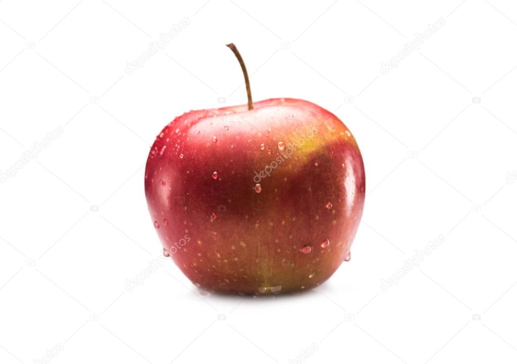 ripe apple with water drops