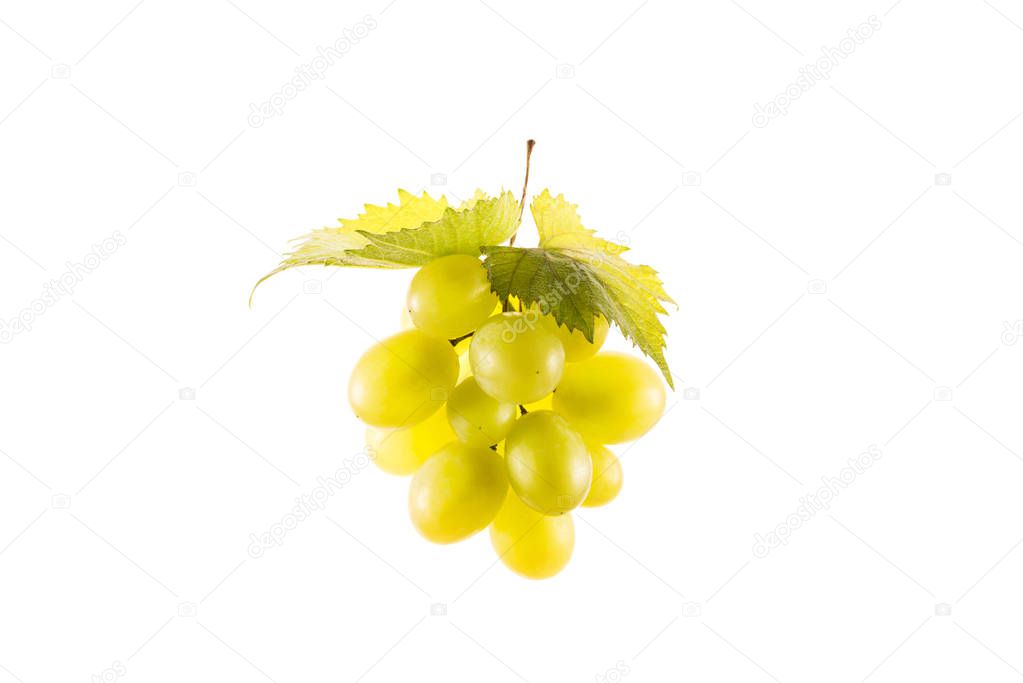 cluster of fresh grapes