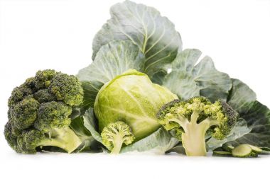 still-life of cabbage and broccoli clipart