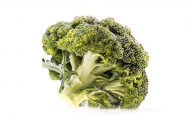 healthy ripe broccoli branch clipart