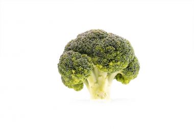 healthy ripe broccoli branch clipart