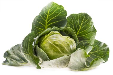 fresh ripe healthy cabbage clipart