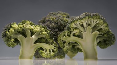 healthy ripe broccoli branches clipart