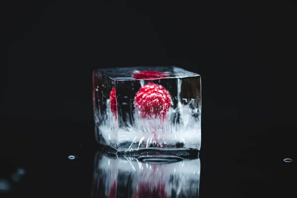 Малина заморожена в крижаному кубі — стокове фото