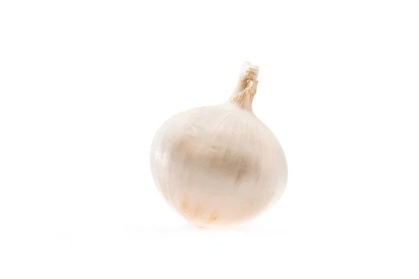 Ripe white unpeeled onion — Stock Photo, Image