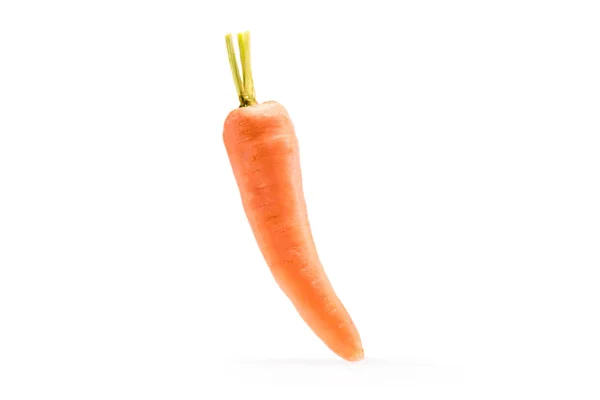 Singola carota sana matura fresca — Foto Stock