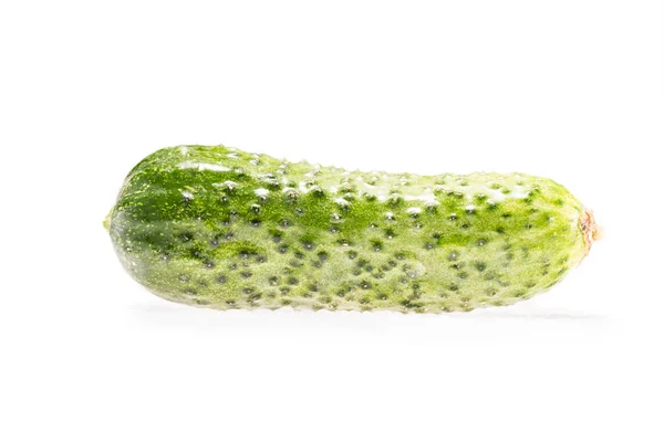 Rijpe verse biologische cucumbe — Stockfoto