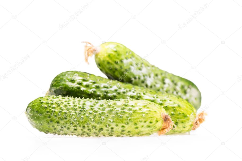 pile of ripe fresh cucumbers