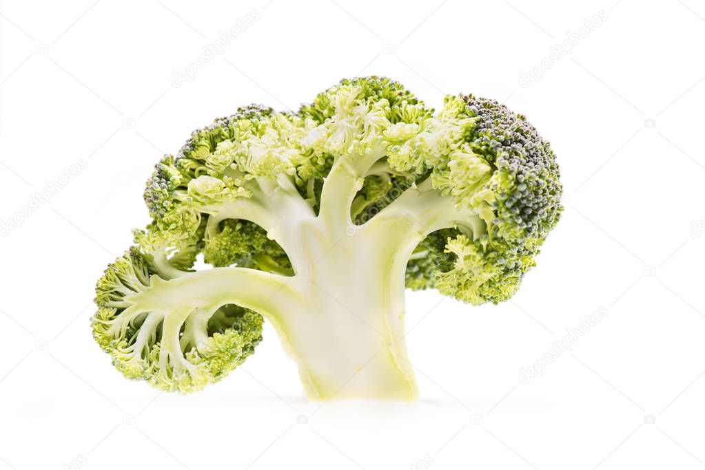 healthy ripe broccoli branch