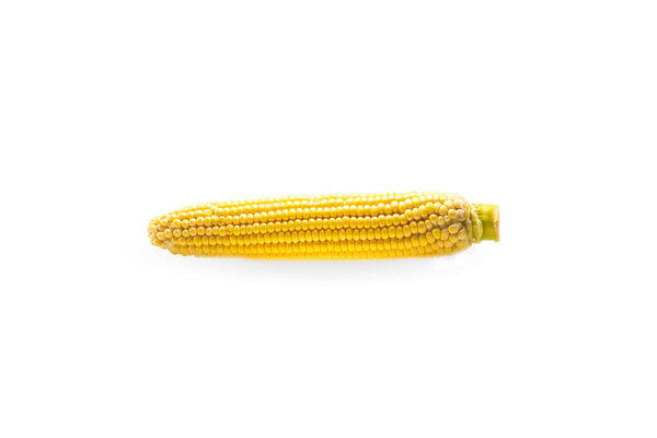  raw corn cob isolated on white 