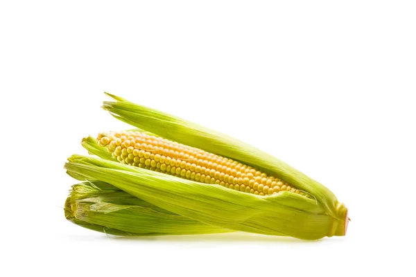 Corn cobs — Stock Photo, Image