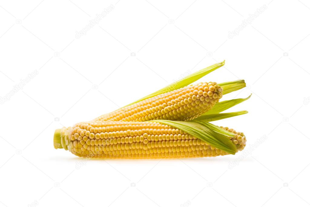 corn 