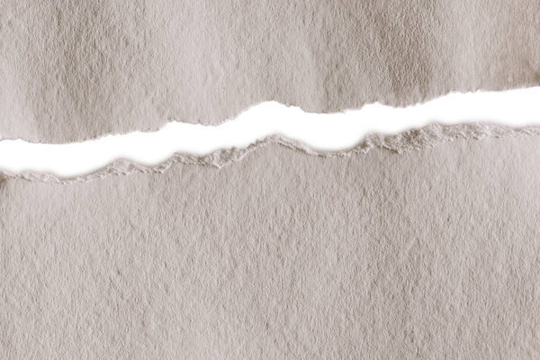 blank ragged paper texture