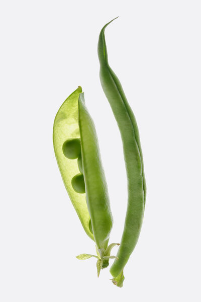 healthy beautiful pea pods