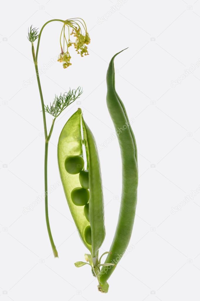 beautiful composition with pea pods