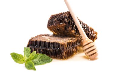 peteğin ve ahşap bal ayı