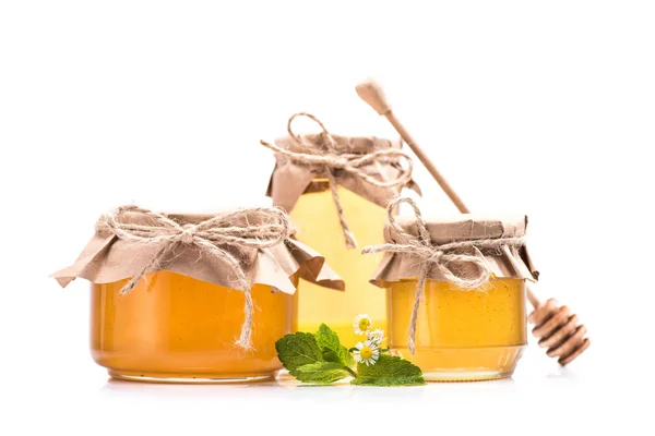 Honning i glas krukker - Stock-foto