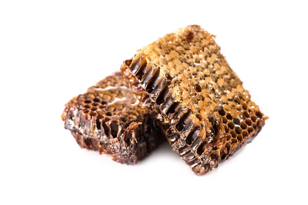 Fresh healthy honeycombs — Stock Photo, Image