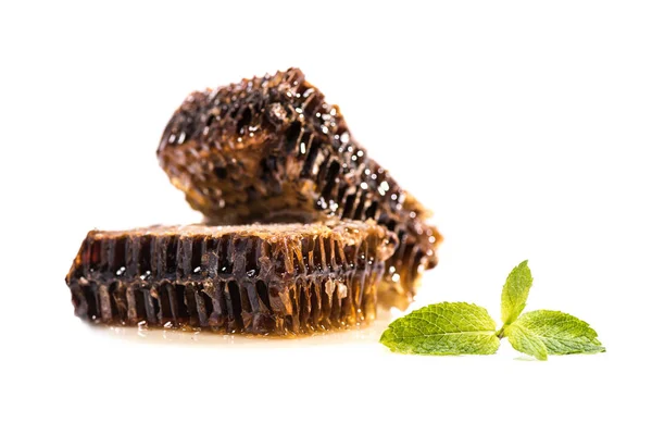 Honeycombs and mint leaves — Stock Photo, Image