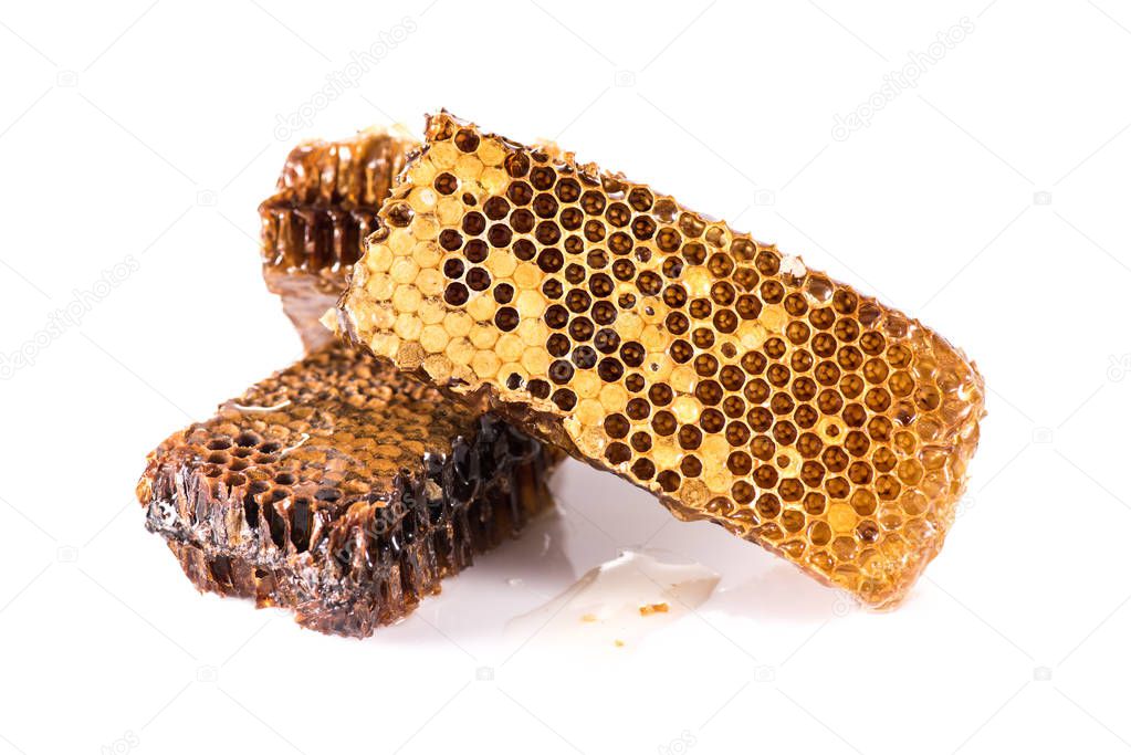 fresh healthy honeycombs