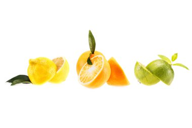 lemon, orange and lime clipart