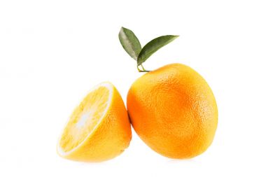 fresh juicy oranges clipart