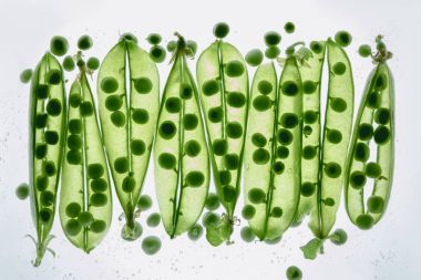 green peas floating in water clipart