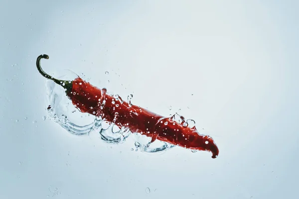 Fresh chili pepper — Stock Photo, Image