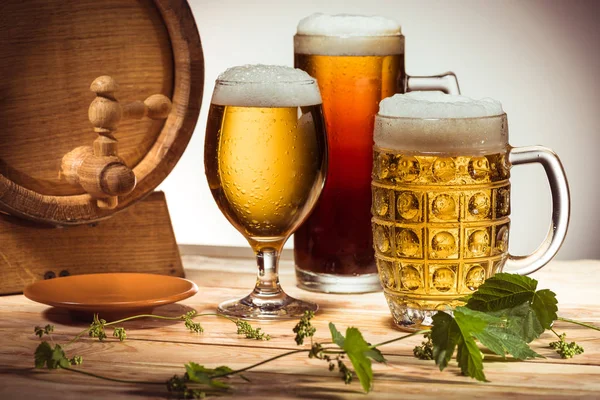 Different beer and hops — Stock Photo, Image