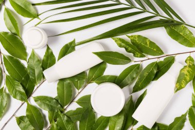 Organik krem ve losyon 