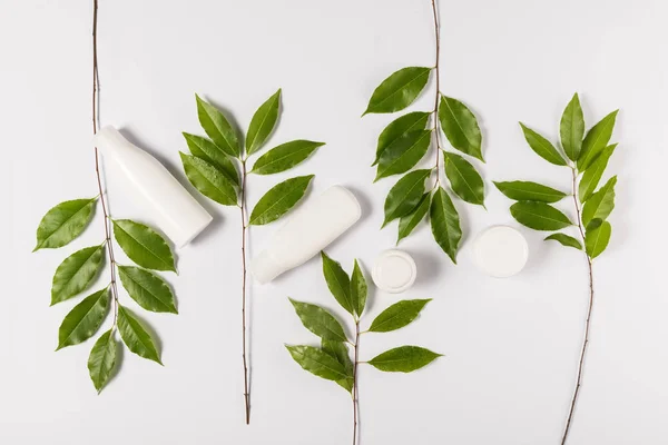 Cream and lotion with green leaves — Stock Photo, Image