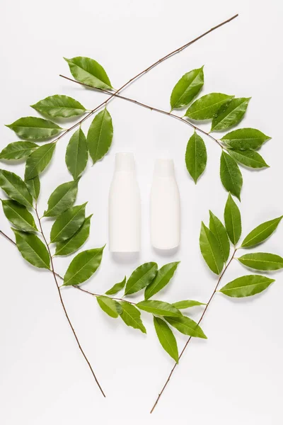 Organic lotion with leaves — Stock Photo, Image