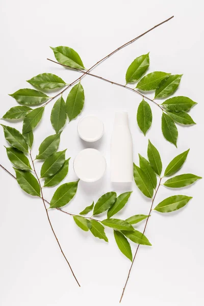 Cream and lotion with leaves — Stock Photo, Image
