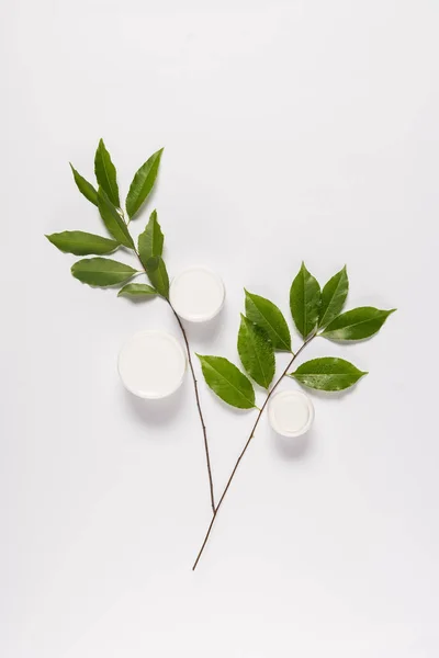 organic cream with leaves