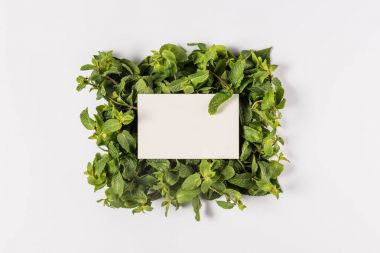 blank card on mint leaves clipart