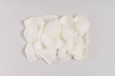 white rose petals clipart