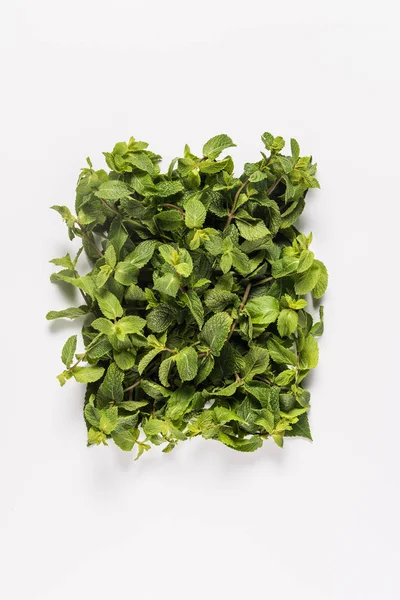 Mint leaves texture — Stock Photo, Image