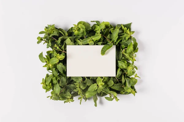 Cartão em branco nas folhas de hortelã — Fotografia de Stock