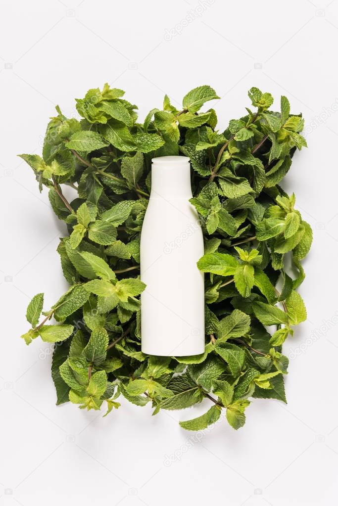 organic mint lotion  